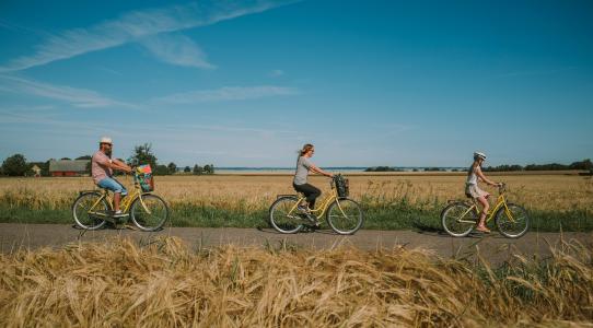 Cykling längs landsväg i Skåne