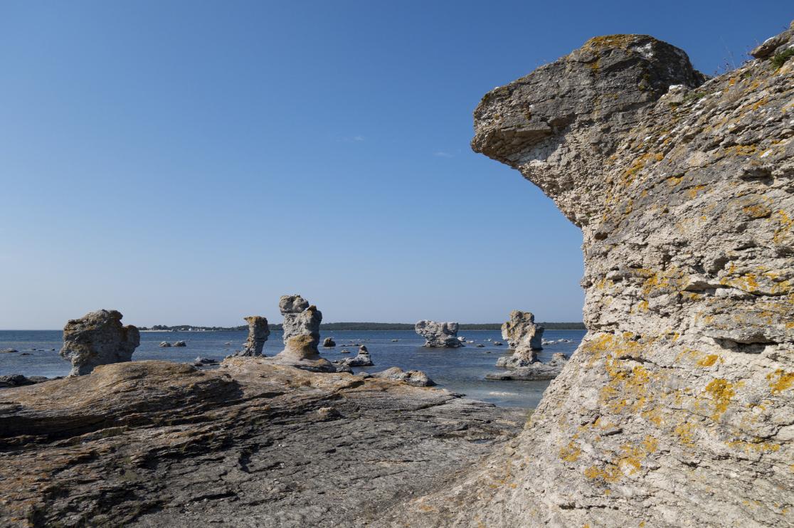 Raukar i och vid vattnet på Gotland
