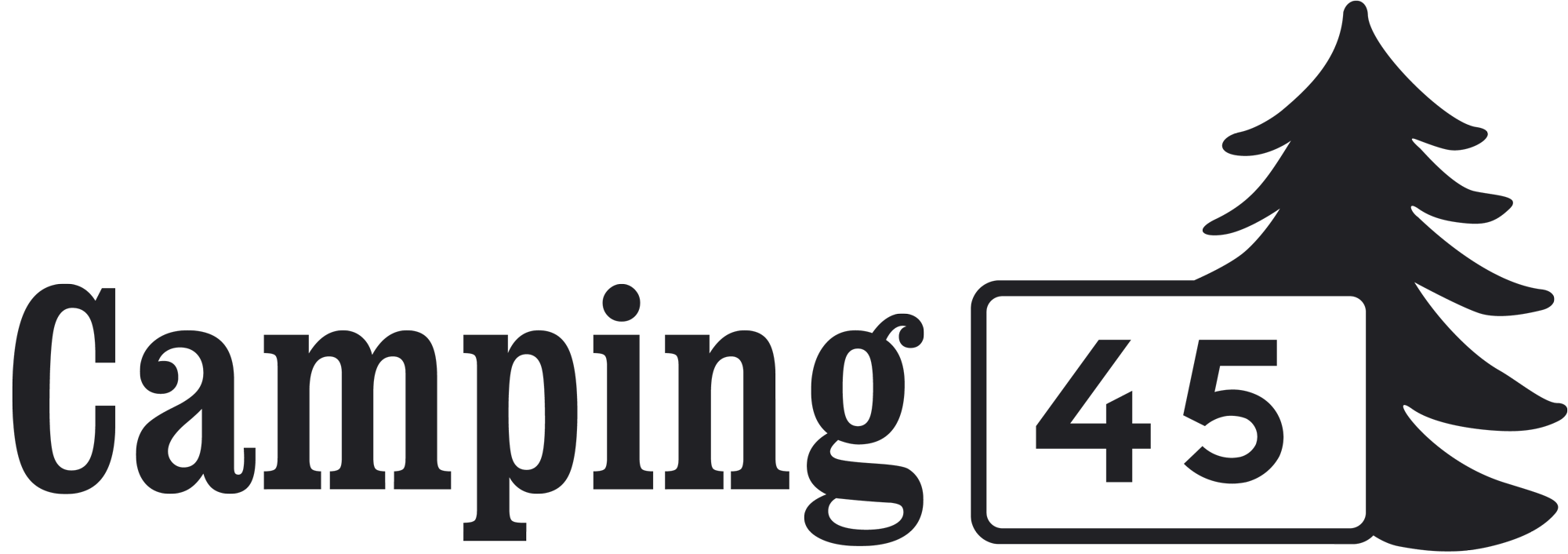 Camping45 Logga