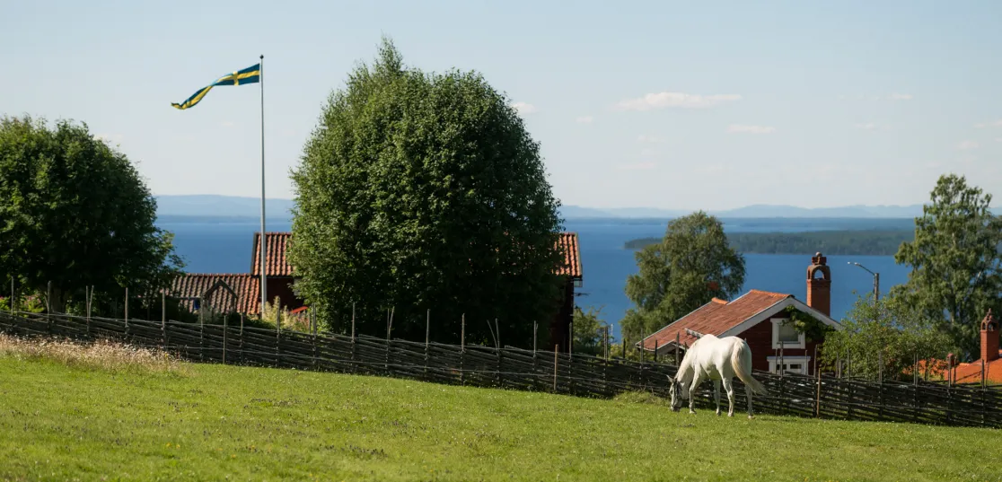 Lummiga Tällberg i Dalarna