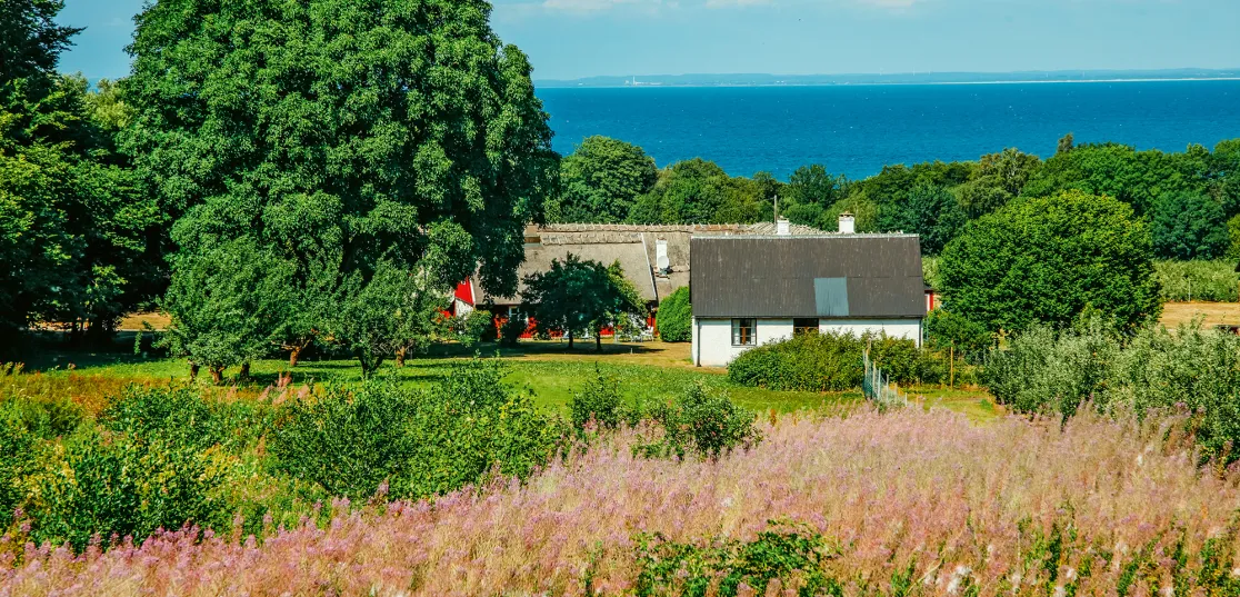 Bjäre i Skåne