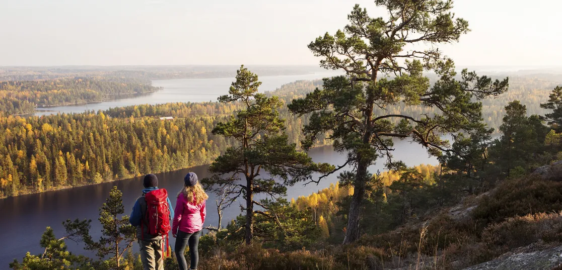 En man och en kvinna blickar ut över vidsträckt skogslandskap.