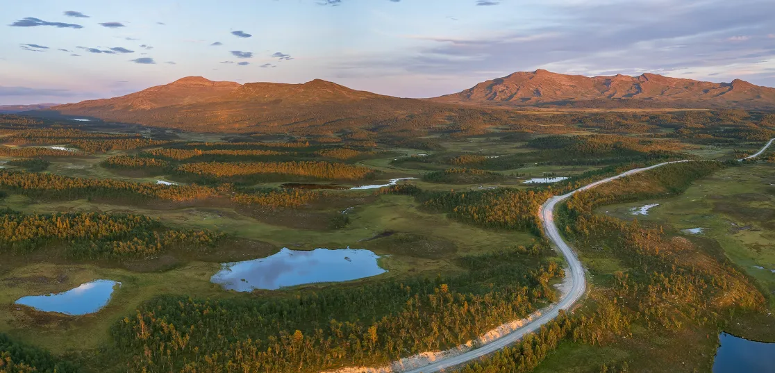 Flatruetvägen i Härjedalen