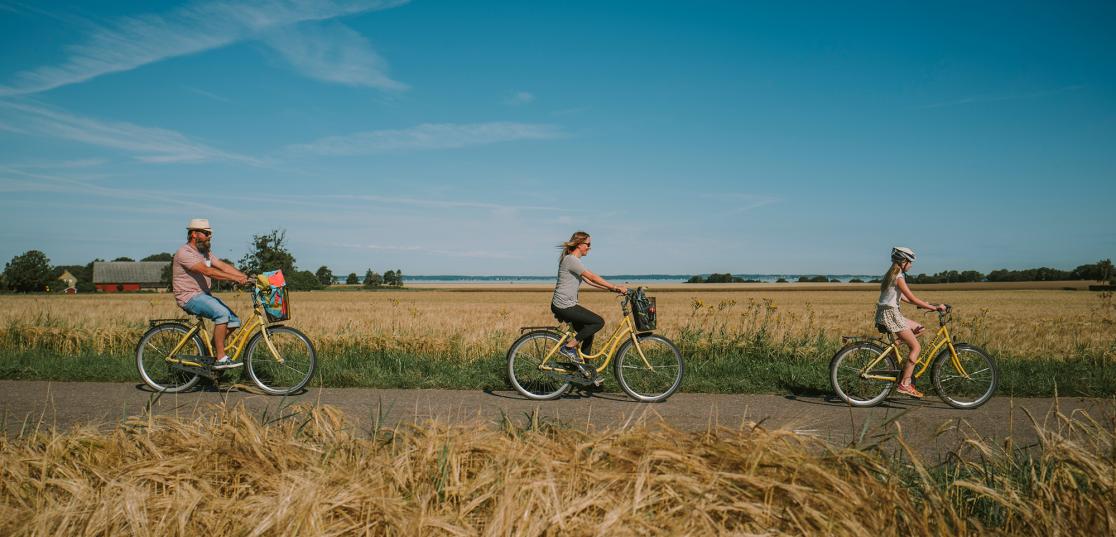 Cykling längs landsväg i Skåne