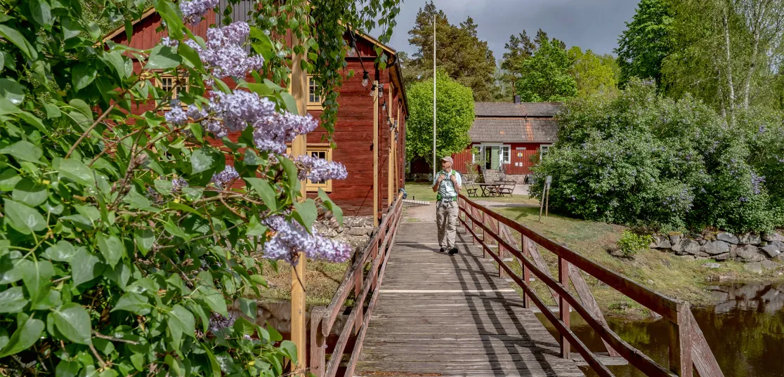 Vilhelm Mobergs Småland