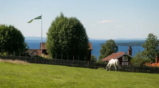 Lummiga Tällberg i Dalarna