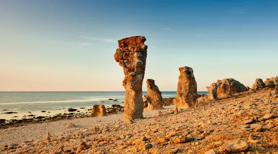 Raukar på Gotland