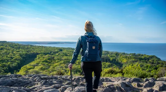 Stenshuvud nationalpark i Österlen Skåne, södra Sverige.