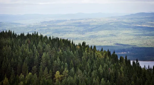 Natur i Värmland