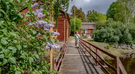 Vilhelm Mobergs Småland