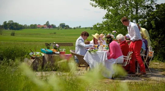 Midsummer lunch