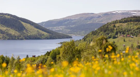 Åre, the largest and most advanced and diverse alpine sports resort in Sweden and Northern Europe.