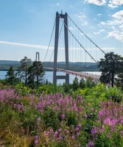 Högakustenbron i Ångermanland