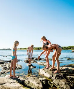 Barn på klippor i Blekinge