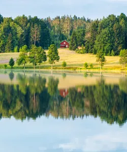 Dalsland, Sverige