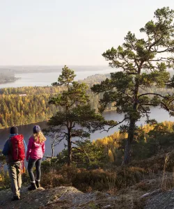 En man och en kvinna blickar ut över vidsträckt skogslandskap.