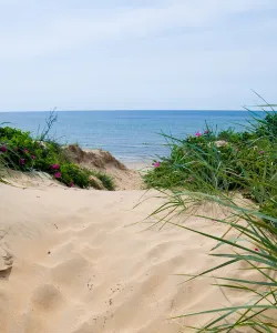 Sandstrand i Halland