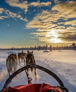 På tur med hundspann