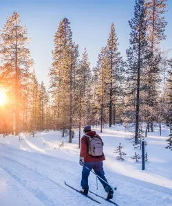 Längdskidåkning i Sverige