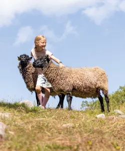 Flicka med får på Öland