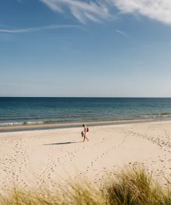 Sandstrand på Öland 