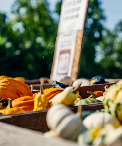 Ölands skördefest