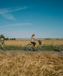 Cykling längs landsväg i Skåne