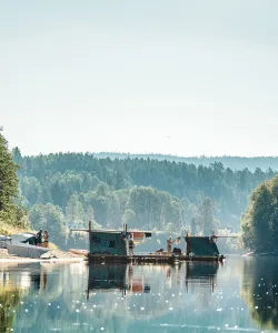 Flotte på blankt vatten. Skogen sträcker ut sig i bakgrunden.