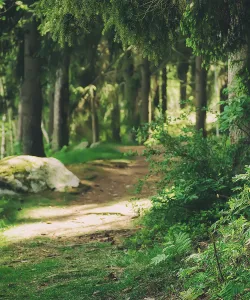 Vandringsled nära campingplats i Sverige