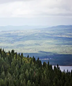 Natur i Värmland