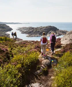 Vandring med utsikt över Marstrandsfjorden.