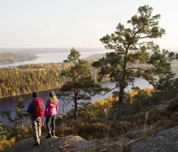 En man och en kvinna blickar ut över vidsträckt skogslandskap.