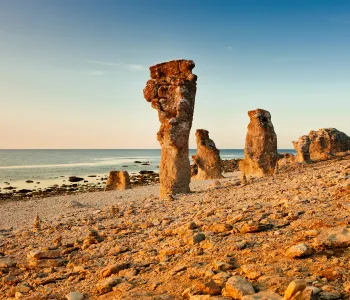 Raukar på Gotland