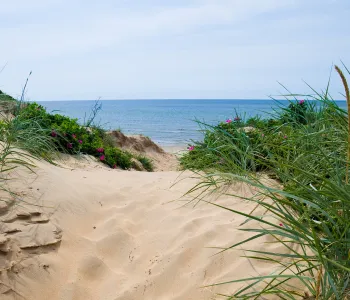 Sandstrand i Halland