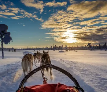 På tur med hundspann