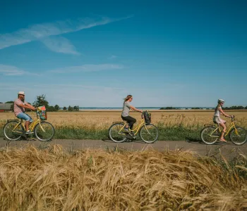 Cykling längs landsväg i Skåne