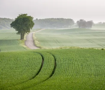 Åker i Bjäresjö, Skåne