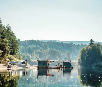 Flotte på blankt vatten. Skogen sträcker ut sig i bakgrunden.