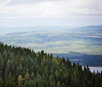 Natur i Värmland