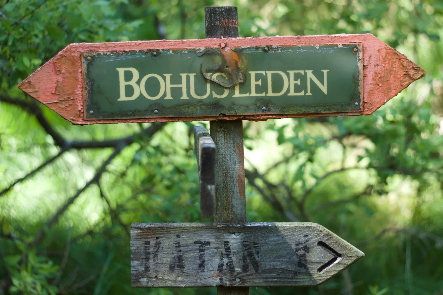Bohusleden