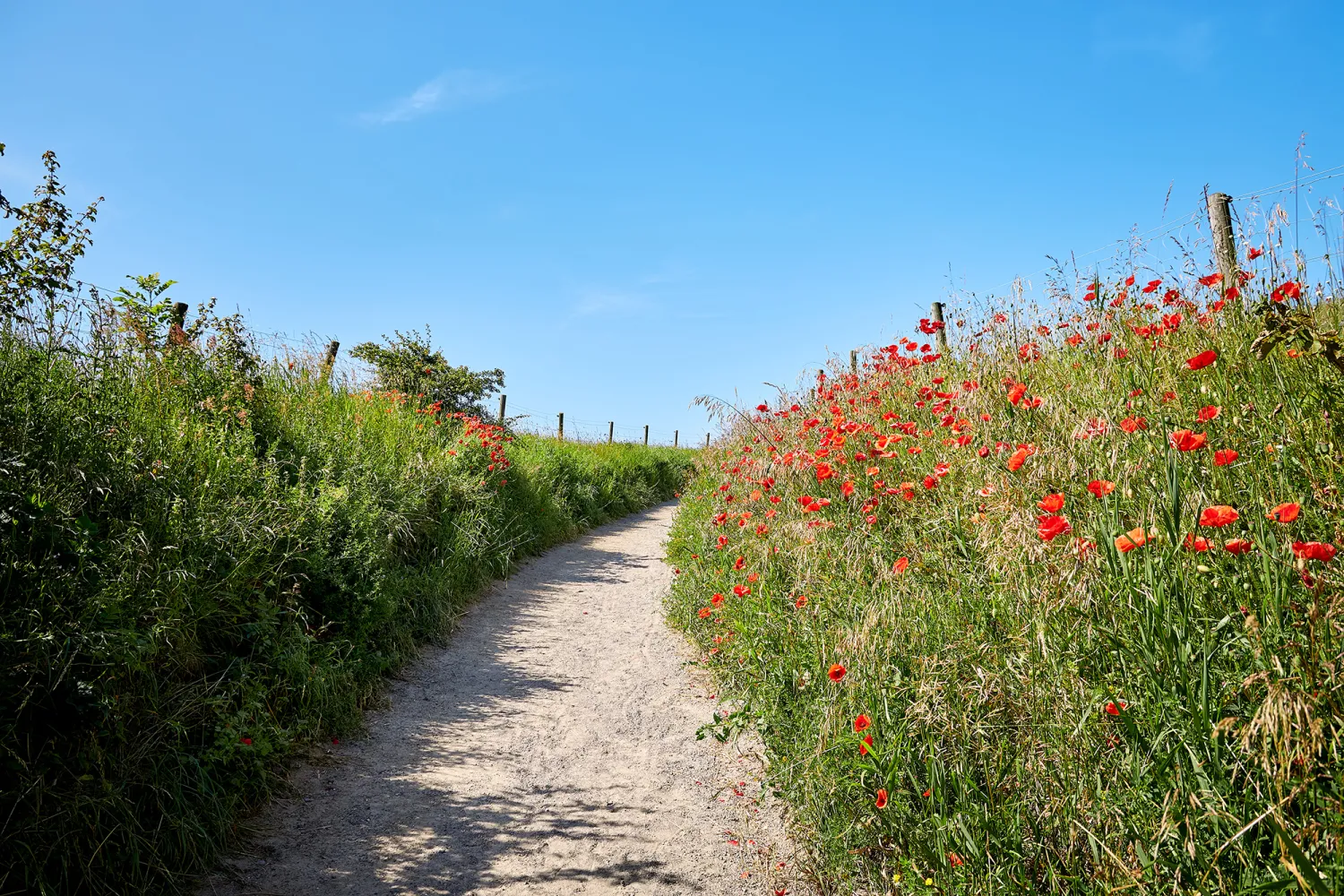 Skåne