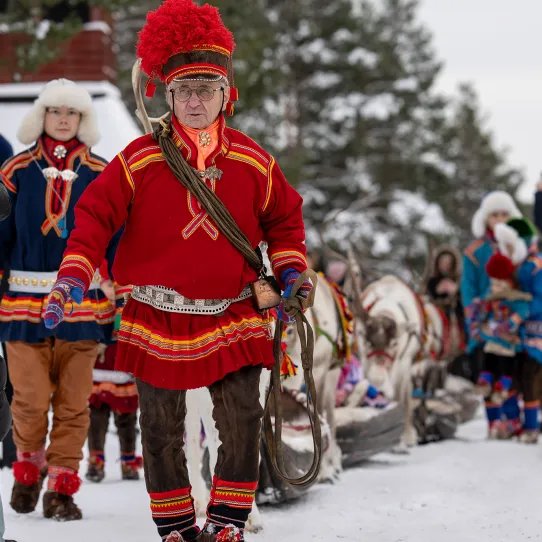 Renrajd genom marknadsområdet på Jokkmokks marknad