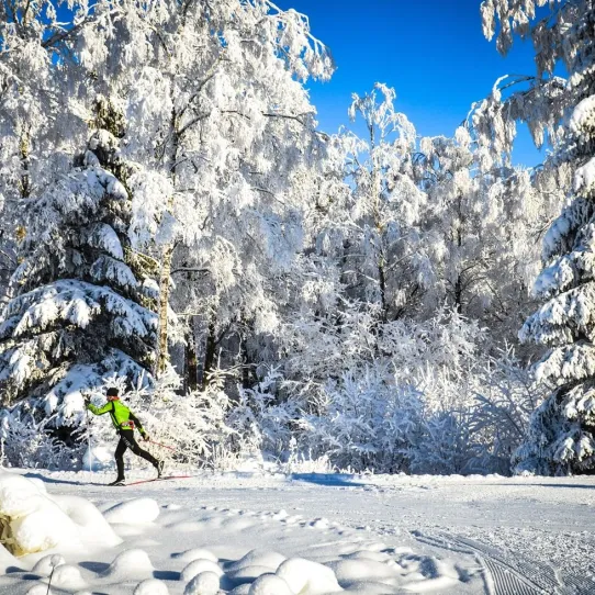 Längdskidåkning vid Mösseberg Camping