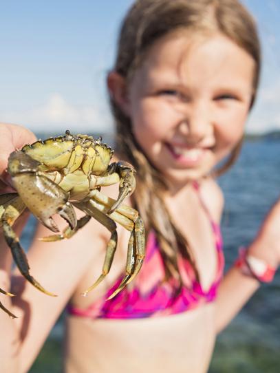 Flicka med krabbspå håller fram en nyfångad krabba.