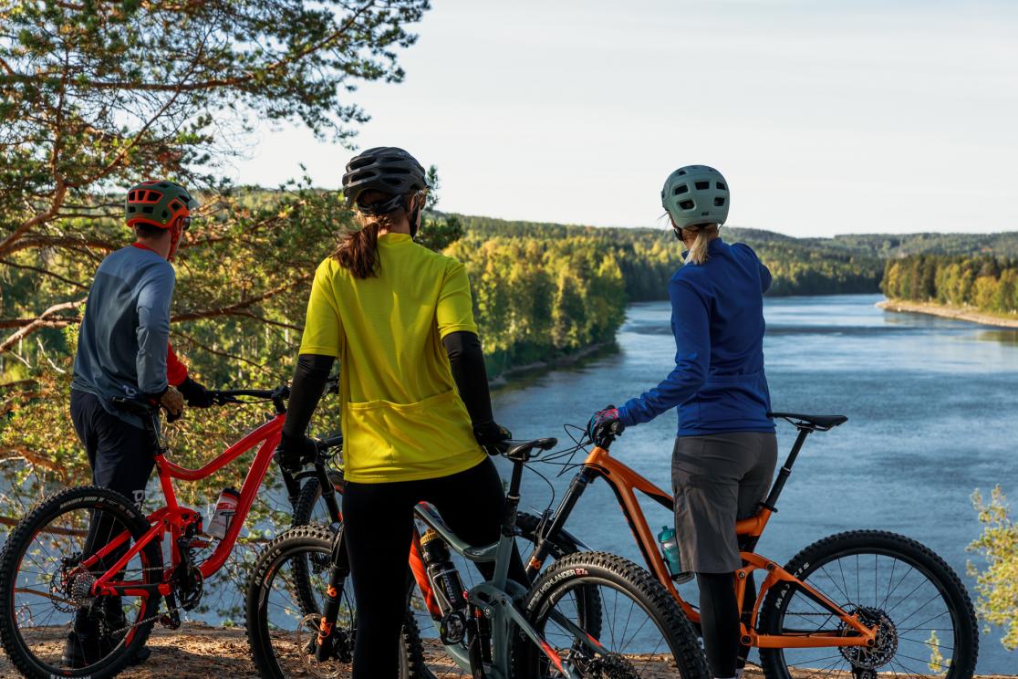 Cykling i Umeåregionen