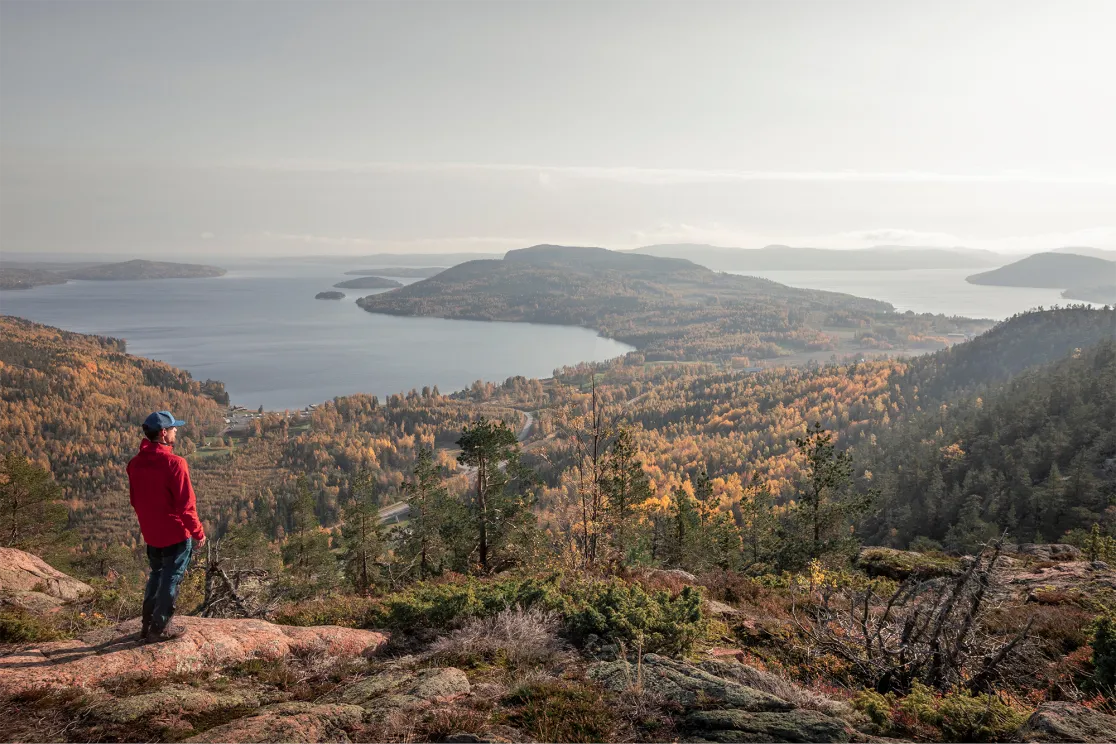 Höst i Höga kusten