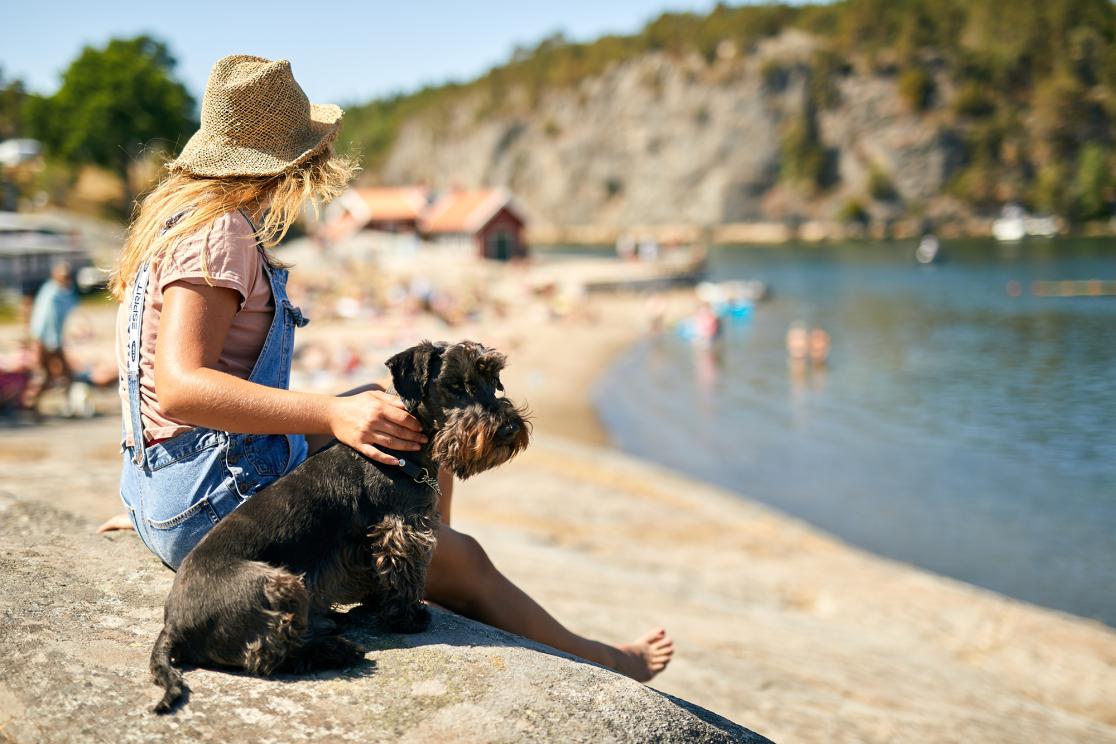 Hund och kvinna vid stranden på Lagunen Camping & Stugor