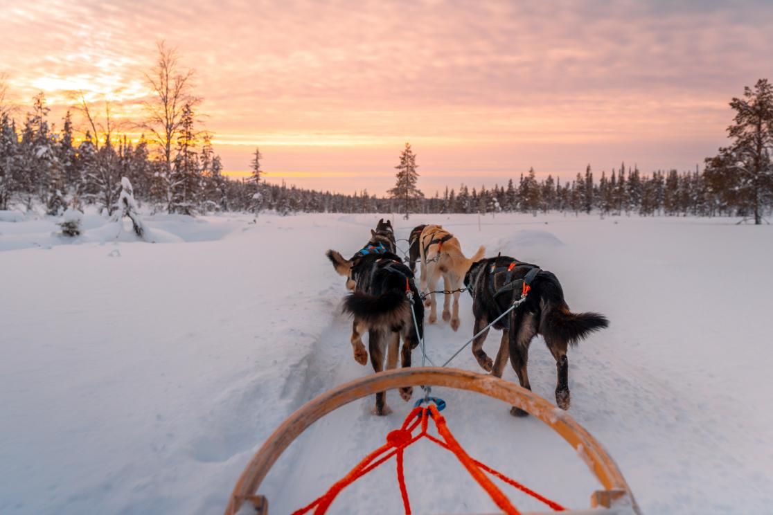 Hundspann, Lappland