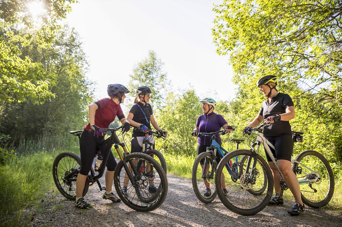 Fyra cyklister samtalar på grusväg i skogen.