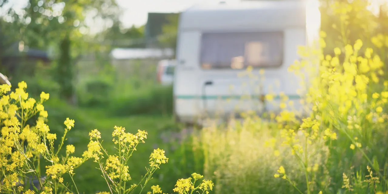 Husvagn på campingplats med vårblommor